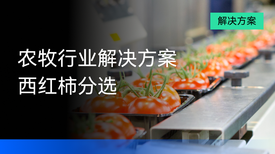 系列案例07丨农产品西红柿分选：分选精度达到95%以上